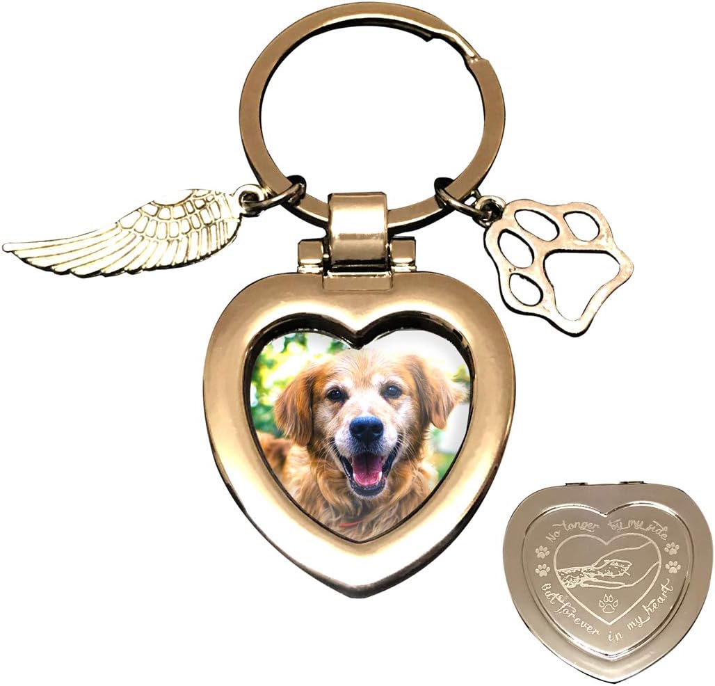 61ciQu0fRuL._AC_SL1200_.jpg JOEZITON Pet Memorial Gifts (Opts) Passed Away Personalized Family Picture Frame or Keychain Jewelry Angel with Paws for Loss of Dogs or Cats.(K1) - Image 1