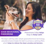 Calming Collar for Dogs 3 Packs, Dog Anxiety Relief, Pheromone Dog Calming Collar, Adjustable Relax Comfortable Collar Separation Design for All Small, Medium, and Large Dogs (Purple) - Image 2