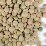 Certified Organic Dried Green Lentil Sprouting Seed: 4 Oz - Handy Pantry Brand: Dry Lentils for Planting Garden Seeds, Soup, Cooking or Sprout Salad, Sprouts - Image 2