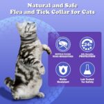 Cadorabo Flea and Tick Collar for Cats Kittens, 8 Months of Cat Flea Collar Protection 2 Collars Made with Premium Plant Based Essential Oil Waterproof and Natural Treatment Prevention Free Comb - Image 3