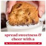 David Cookies Sweet Treats Gourmet Assorted Cookies Bucket with Thin Crispy Cookies and Butter Pecan Meltaways Gourmet Treats - Delicious Traditional Recipes - Ideal Gift To Family And Friends 1.3 Lbs - Image 3
