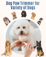 oneisall Dog Clippers with Double Blades,Cordless Small Pet Hair Grooming Trimmer,Low Noise for Trimming Dog's Hair Around Paws, Eyes, Ears, Face, Rump (White) - Image 3