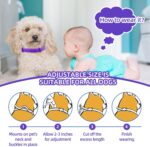 Calming Collar for Dogs 3 Packs, Dog Anxiety Relief, Pheromone Dog Calming Collar, Adjustable Relax Comfortable Collar Separation Design for All Small, Medium, and Large Dogs (Purple) - Image 3