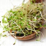 Certified Organic Dried Green Lentil Sprouting Seed: 4 Oz - Handy Pantry Brand: Dry Lentils for Planting Garden Seeds, Soup, Cooking or Sprout Salad, Sprouts - Image 3